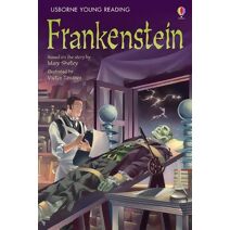 Frankenstein (Young Reading Series 3)