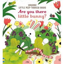 Are you there little Bunny (Little Peek-Through Books)