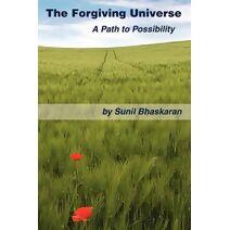 Forgiving Universe