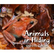 Animals in Hiding (Collins Big Cat)