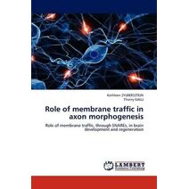 Role of membrane traffic in axon morphogenesis