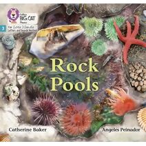 Rock Pools (Big Cat Phonics for Little Wandle Letters and Sounds Revised)