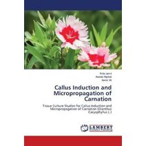 Callus Induction and Micropropagation of Carnation