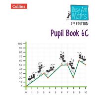Pupil Book 6C (Busy Ant Maths Euro 2nd Edition)