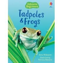 Tadpoles and Frogs (Beginners)