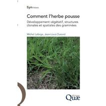 Comment l'herbe pousse