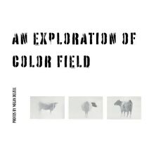 Exploration In Color Field