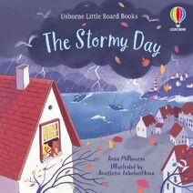 Stormy Day (Little Board Books)