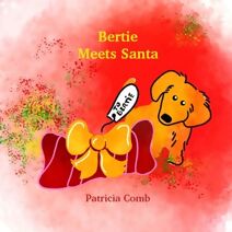 Bertie Meets Santa (Bertie and Friends)