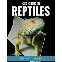 Big Book Of Reptiles