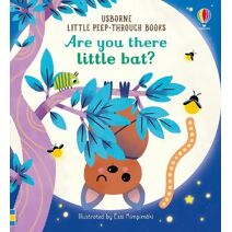 Are You There Little Bat? (Little Peek-Through Books)