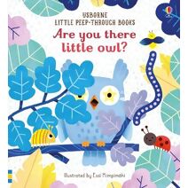 Are you there little Owl? (Little Peek-Through Books)