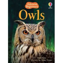 Owls (Beginners)