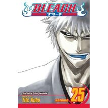 Bleach, Vol. 25 (Bleach)