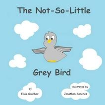 Not-So-Little Grey Bird