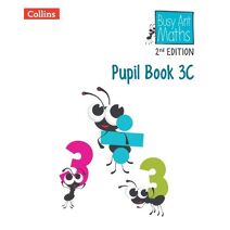 Pupil Book 3C (Busy Ant Maths Euro 2nd Edition)