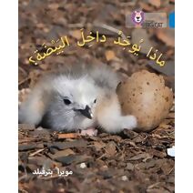 What's in the Egg? (Collins Big Cat Arabic Reading Programme)