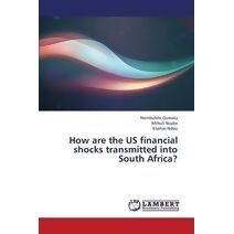 How are the US financial shocks transmitted into South Africa?