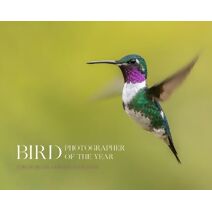 Bird Photographer of the Year (Bird Photographer of the Year)