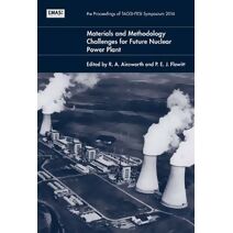 Materials and Methodology Challenges for Future Nuclear Power Plant