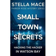 Small Town Secrets (Parker Rose Mystery)