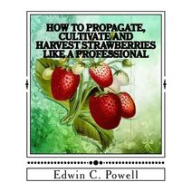 How to Propagate, Cultivate and Harvest Strawberries Like a Professional