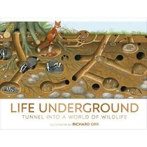 Life Underground (DK Panorama)