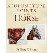 Acupuncture Points on the Horse