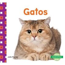 Gatos (Cats)