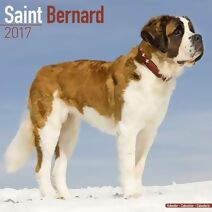 Saint Bernard Calendar 2017