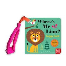 Where's Mr Lion? (Felt Flaps)