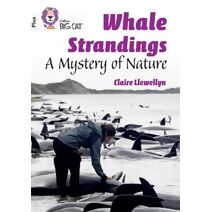 Whale Strandings: A Mystery of Nature (Collins Big Cat)