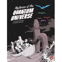 Mysteries of the Quantum Universe