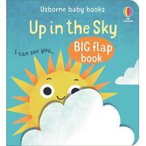 Up In The Sky (Baby's Big Flap Books)
