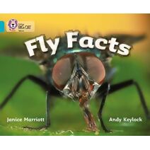 Fly Facts (Collins Big Cat)