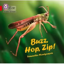 Buzz, Hop, Zip! Big Book (Collins Big Cat Phonics for Letters and Sounds)
