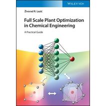 Full Scale Plant Optimization in Chemical Engineering: A Practical Guide