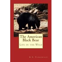 American Black Bear (Exploring Nature)
