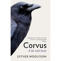 Corvus