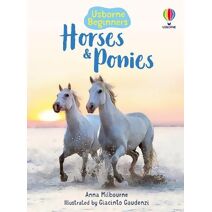 Horses and Ponies (Beginners)
