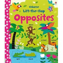 Lift-the-flap Opposites (Young Lift-the-flap)