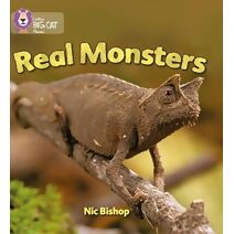 Real Monsters (Collins Big Cat Phonics)