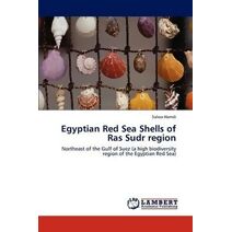 Egyptian Red Sea Shells of Ras Sudr region