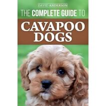 Complete Guide to Cavapoo Dogs
