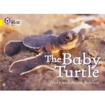 Baby Turtle (Collins Big Cat)