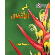 In the Jungle (Collins Big Cat Arabic Reading Programme)