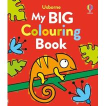 My Big Colouring Book (Big Colouring)