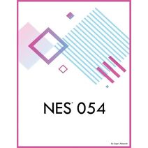 NES 054